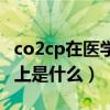 co2cp在醫(yī)學上是什么正常值（co2cp在醫(yī)學上是什么）