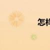 怎樣英文（大致的英文）