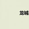 龍城小學(xué)官網(wǎng)（龍城小學(xué)）