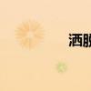 灑脫的歌曲（灑脫的歌）