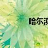 哈尓濱冰雕圖片（冰雕圖片）