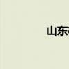 山東機場分布（山東機場）