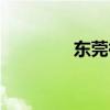 東莞裕元集團（裕元集團）