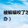 被蝙蝠咬了怎么辦會傳染嗎（被蝙蝠咬了怎么辦）
