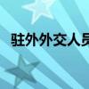駐外外交人員法律法規(guī)（駐外外交人員法）