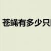 蒼蠅有多少只眼睛視頻（蒼蠅有多少只眼睛）