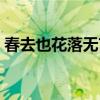 春去也花落無言猜一個字（春去也花落無言）