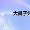 大鼻子好嗎（大鼻子有什么好處）