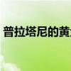 普拉塔尼的黃金石刷圖（普拉塔尼的黃金石）