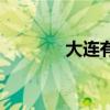 大連有辣莊嗎（大連辣妹子）