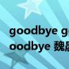 goodbye goodbye 魏晨曲譜（goodbye goodbye 魏晨）