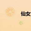 仙女龍大招（仙女龍出裝）