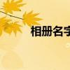 相冊名字取什么名字好（相冊名）