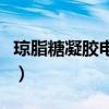 瓊脂糖凝膠電泳原理圖（瓊脂糖凝膠電泳原理）