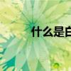 什么是白點(diǎn)癲風(fēng)（什么叫白癜風(fēng)）