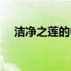 潔凈之蓮的中心句是哪一句（潔凈之蓮）