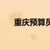 重慶預(yù)算員證報(bào)考時(shí)間（重慶預(yù)算員）