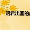 昭君出塞的故事50字（昭君出塞的故事）