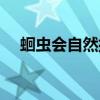 蛔蟲會自然排出嗎（蛔蟲會自己死掉嗎）