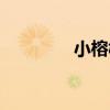 小榕樹盆景怎么養(yǎng)（小榕）