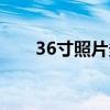36寸照片多大圖片（36寸照片多大）