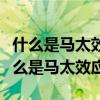什么是馬太效應怎樣去改變這個馬太效應（什么是馬太效應）