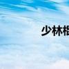 少林棍法三十六棍（少林棍）