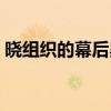 曉組織的幕后黑手是誰(shuí)（曉組織的老大是誰(shuí)）