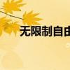 無限制自由搏擊賽（無限制自由搏擊）