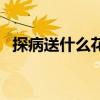 探病送什么花合適小女孩（探病送什么花）