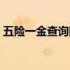 五險一金查詢網(wǎng)站官網(wǎng)（五險一金查詢網(wǎng)站）
