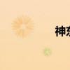 神東煤炭集團(tuán)（sdmt）