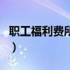 職工福利費(fèi)所得稅稅前扣除標(biāo)準(zhǔn)（職工福利費(fèi)）