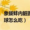 象拔蚌內臟圓球怎么吃才好吃（象拔蚌內臟圓球怎么吃）
