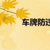 車牌防違章噴霧（車牌防拍噴劑）