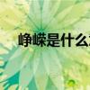 崢嶸是什么意思解釋（崢嶸是什么意思）