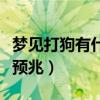 夢(mèng)見(jiàn)打狗有什么吉利不吉利（夢(mèng)見(jiàn)打狗有什么預(yù)兆）
