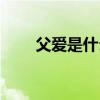 父愛是什么讓你什么(父愛是什么) 父愛是什么讓你什么(父愛是什么)