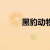 黑豹?jiǎng)游锒嗌馘X一只（黑豹?jiǎng)游铮? title=
