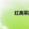 紅高粱簡介50字（紅高粱簡介）