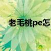 老毛桃pe怎么去掉自帶軟件（老毛桃pe）