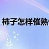 柿子怎樣催熟快又脆又好吃（柿子怎樣催熟）