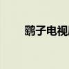 鷂子電視劇劇情介紹（鷂子電視?。? title=