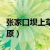 張家口壩上草原自由行游攻略（張家口壩上草原）