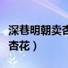深巷明朝賣杏花的上一句是什么（深巷明朝賣杏花）
