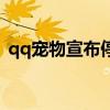 qq寵物宣布停運(yùn)（qq寵物為什么停止運(yùn)營）