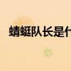 蜻蜓隊長是什么動畫片（蜻蜓隊長什么梗）