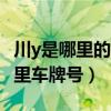 川y是哪里的四川哪里的車(chē)牌w（川y是四川哪里車(chē)牌號(hào)）