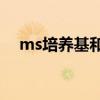 ms培養(yǎng)基和1/2ms的區(qū)別（ms培養(yǎng)基）