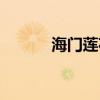 海門蓮花峰作文（海門蓮花峰）